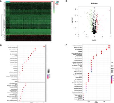 Frontiers Identification And Validation Of A Lipid Metabolism Gene